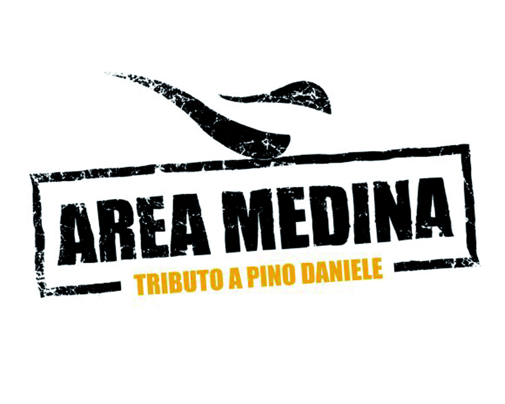 Area Medina